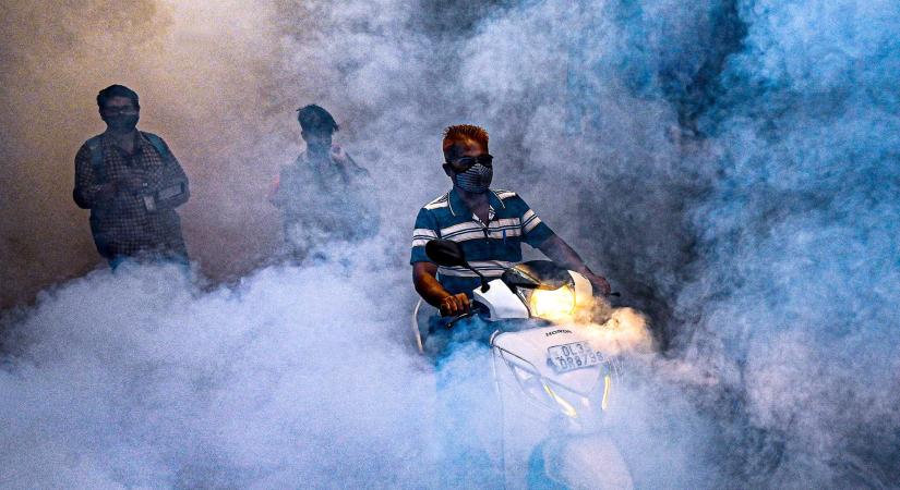 Markánsan kezelik a gyötrő szúnyogok irtását Indiában