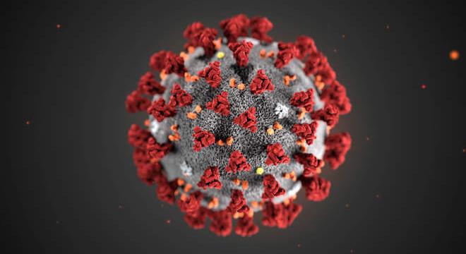 Koronavírus: a magzat immunrendszerének fejlődését befolyásolja az anya fertőzése