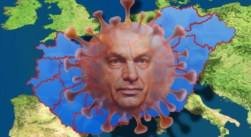 Plasztikmutyi: Tízszeresen túlárazva vették Orbánék a semmire se jó védettségi kártyákat