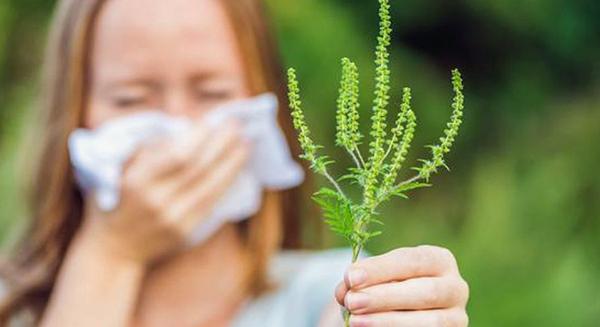 Allergia ellen klímával, légtisztítóval