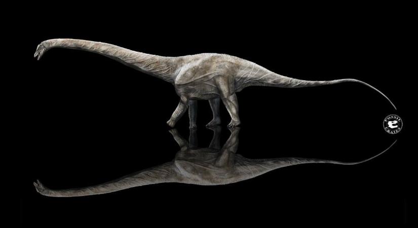 Tudja-e, melyik volt a valaha élt leghosszabb dinoszaurusz?