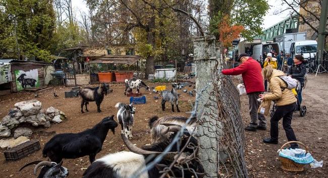 Megszűnik a népszigeti állatpark?
