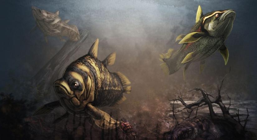 A krétából származó bojtosúszós hal kövületet találtak Texasban