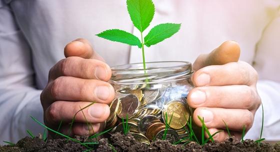 Eljött a zöld befektetések ideje: de mik is azok az ESG-alapok?