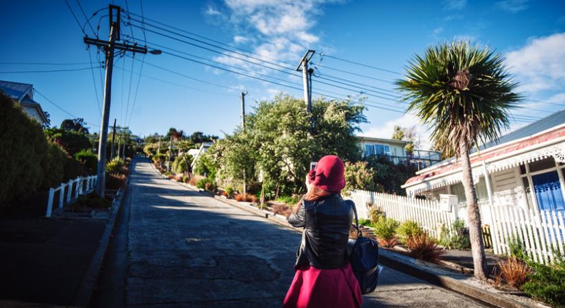 A világ legmeredekebb utcáján nemcsak menni, de megállni is nehéz: Új-Zélandon található a híres Baldwin Street