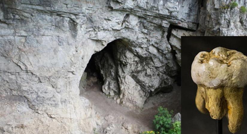 Megtalálták a gyenyiszovai ember legrégebbi ismert maradványait