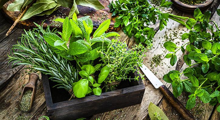 Felpörgött a fűszernövény biznisz: ezeket otthon, fillérekből te is termesztheted