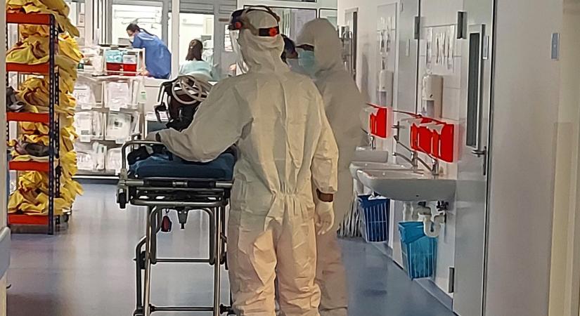 Két embert is kezelnek súlyos ivermectinmérgezéssel a kassai kórházban