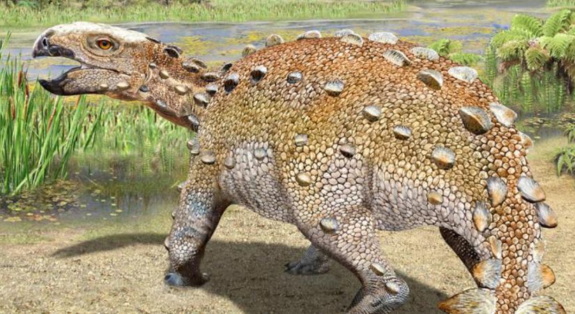 Pengés farkú, kutyaméretű dinoszauruszfajt fedeztek fel Chilében