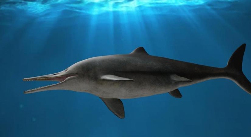 Bármilyen zsákmányt szét tudott tépni ez a delfinhez hasonló őshüllő
