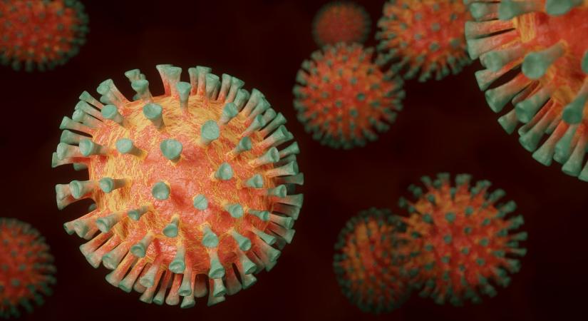 Koronavírus halálozás 8 hónapos csúcson