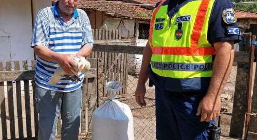 Forró nyom: kacsát és kukoricát lopott két tolvaj, az útközben elpotyogtatott tengeri vezette el a házukhoz a rendőröket