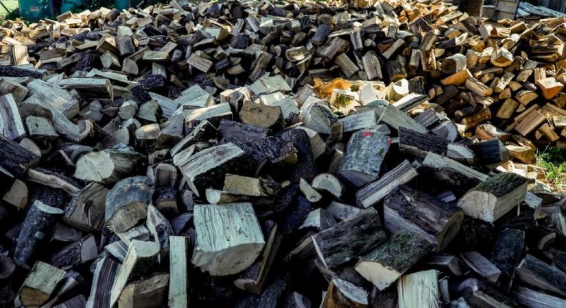 DK: Itt a rezsihazugság - egekben a tűzifa ára