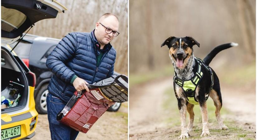 Örökbefogadásra váró kutyáknak segít gazdát találni a Főtaxi