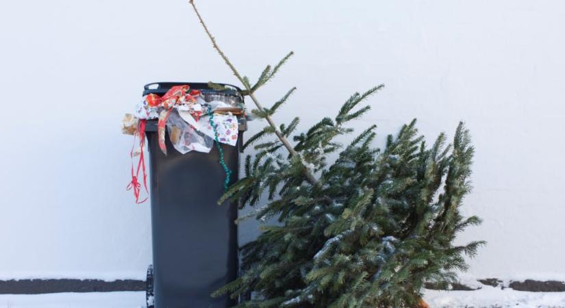 Ne etesd a kukát: tippek ahhoz, hogyan lehet megúszni a karácsonyi pazarlást