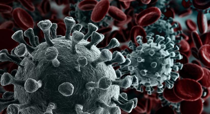 Négynapos adatok: 7989 új koronavírus-fertőzött, elhunyt 436 beteg
