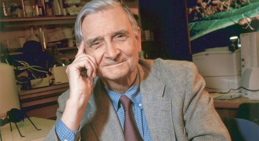 Elhunyt Edward O. Wilson, korunk egyik legnagyobb biológusa