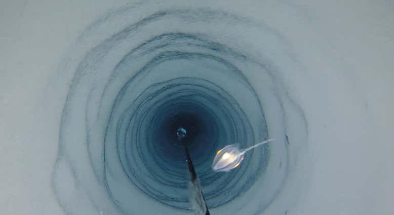 Az Antarktisz jéglemeze alatt talált életnek nem kellene ott lennie