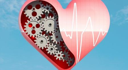 k2 szív egészsége a magas vérnyomás elsősegély-algoritmusa