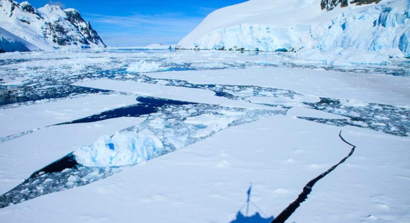 Életre bukkantak az Antarktisz jege alatt