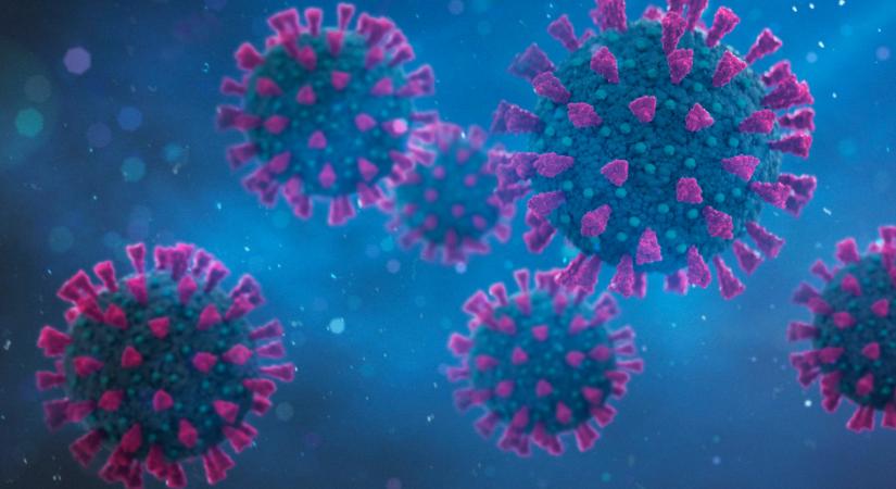 Magyarországon is megjelent a COVID és az influenza hibrid fertőzése: az omikron-variáns is terjed
