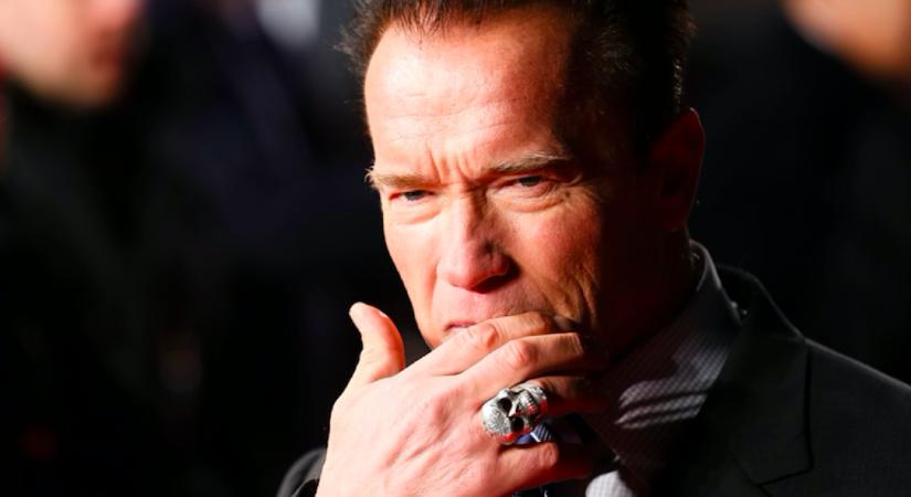 Házvezetőnője szülte ezt a fiút Arnold Schwarzeneggernek - Már nem tagadja a sztár - Fotók
