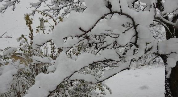 Tragédia: elözönlötték Pakisztánt a turisták a hó miatt, sokan meghaltak
