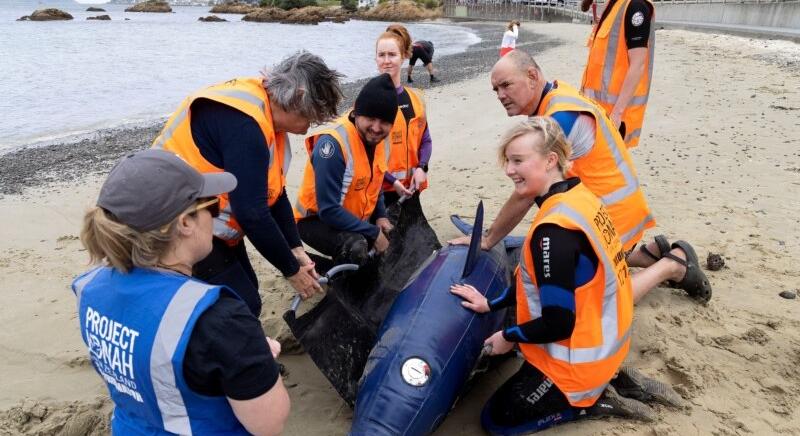 A gumibálna, amely segíti az új-zélandi önkénteseket az életmentésben