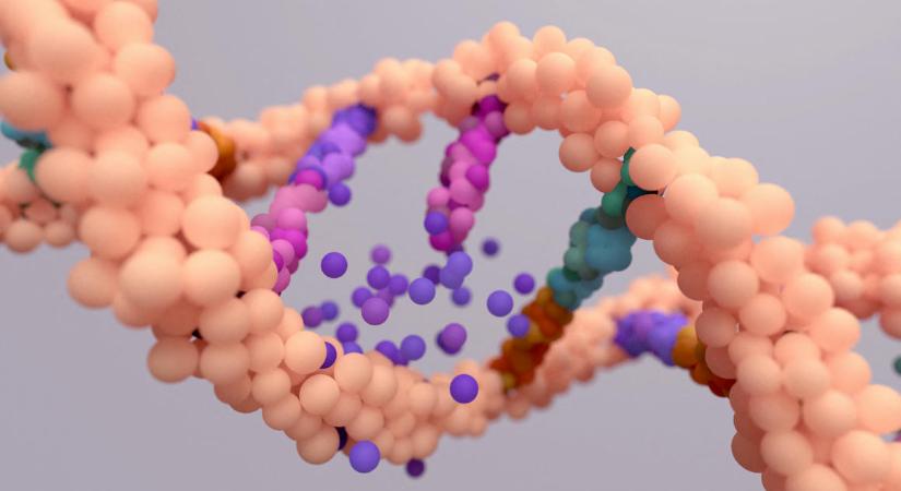 Biológiai alapelvet írhat át egy friss kutatás: mégsem véletlenszerűek a DNS mutációi