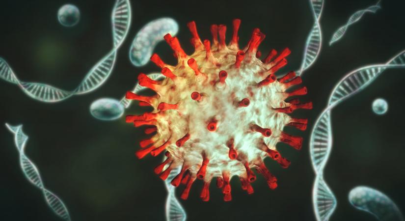 Felfedeztek egy rejtélyes gént, amely a covid-betegség súlyosságáért felelős
