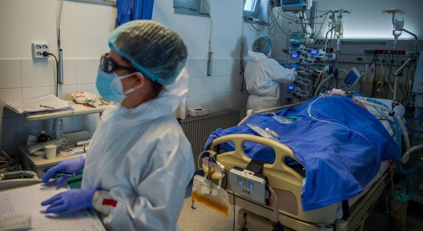 Exkluzív adatok a koronavírusról: a Semmelweis Egyetem emberek ezreinek menti meg az életét