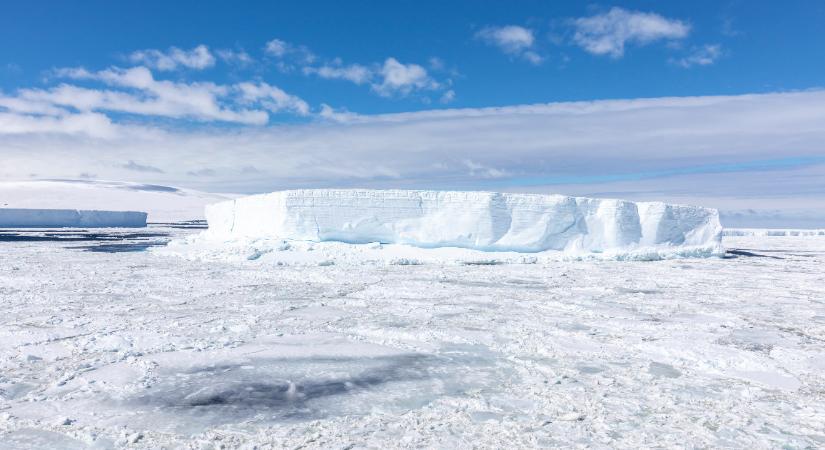 A világ legnagyobb jéghalkolóniáját fedezték fel az Antarktisz körüli jég alatt