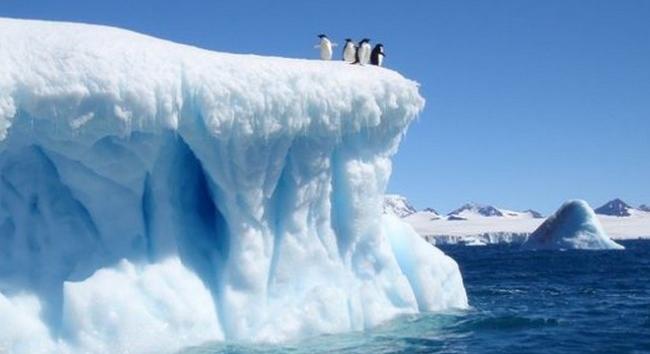 Hajók potyautasaként juthatnak az Antarktiszra az invazív fajok