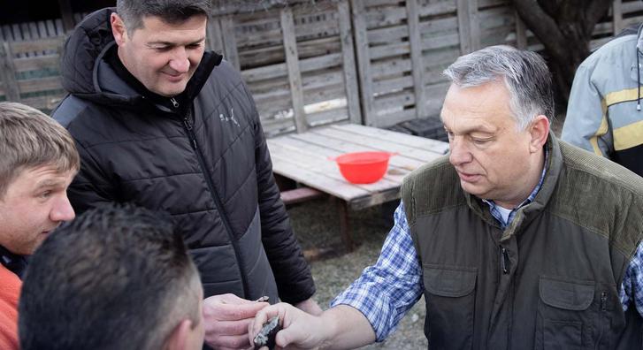 Pálinkázással koronázta meg az év első disznóvágását Orbán Viktor