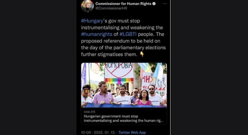 Így kampányolt az Európa Tanács emberi jogi biztosa az ellenzék mellett