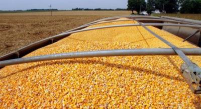 Elég baj nekünk: Ukrajna lekörözi a brazil kukoricaexportot
