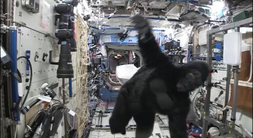 Gorillának öltözve riogatott az egyik űrhajós az ISS-en