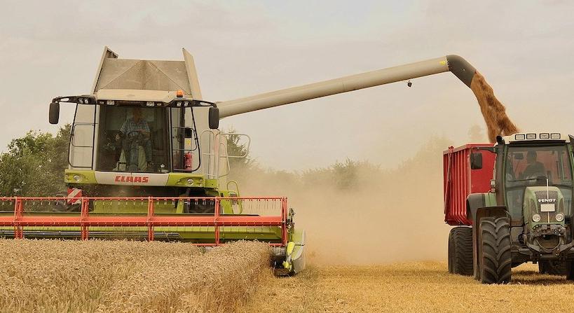 A hazai mezőgazdaság kibocsátásai nőnek, de az innovációval le van maradva
