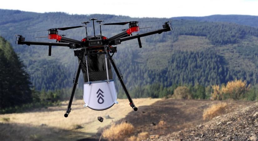 Drónos fatelepítéssel a környezetvédelemért