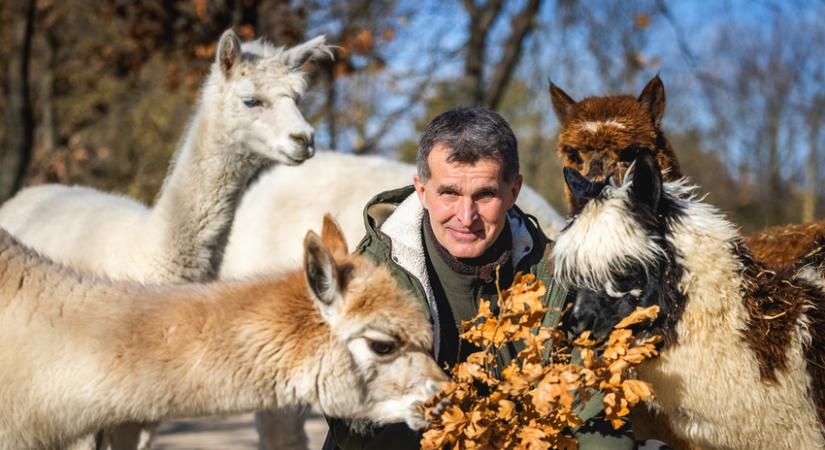 Töretlen a Veszprémi Állatkert népszerűsége