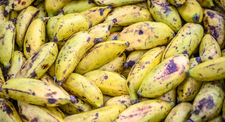 100 millió embernek jelenthet táplálékot a „hamis banán”