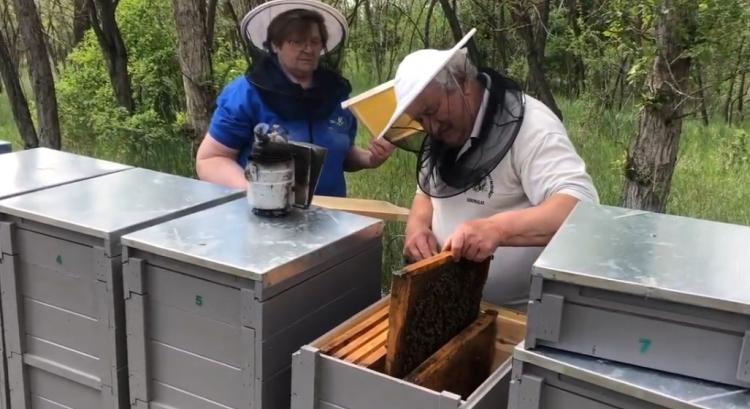 Indul a méhcsaládok egészségügyi támogatása