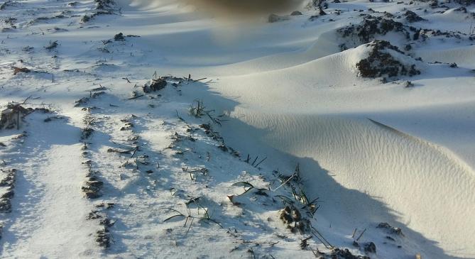 Hordja a havat a szél a Bakonyban
