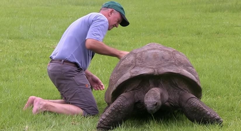 Jonathan, a teknős 190 éves lett és ezzel rekordot állított be