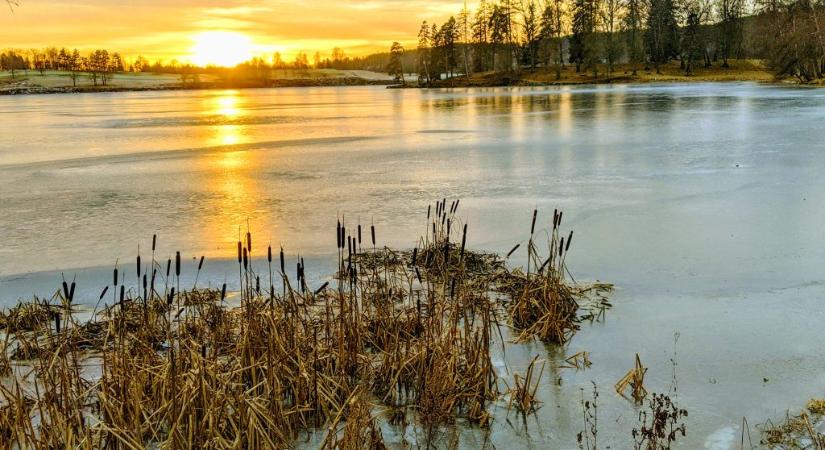 Egy tóban tóban találták meg az eltűntként keresett történelemtanár holttestét