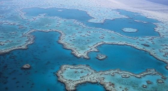 Ha újraválasztják, kilenc év alatt egymilliárd dollárból menti meg az ausztrál kormány a Nagy-korallzátonyt