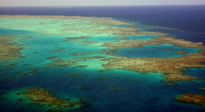 Egymilliárd dollárt költenek a Nagy-korallzátonyra