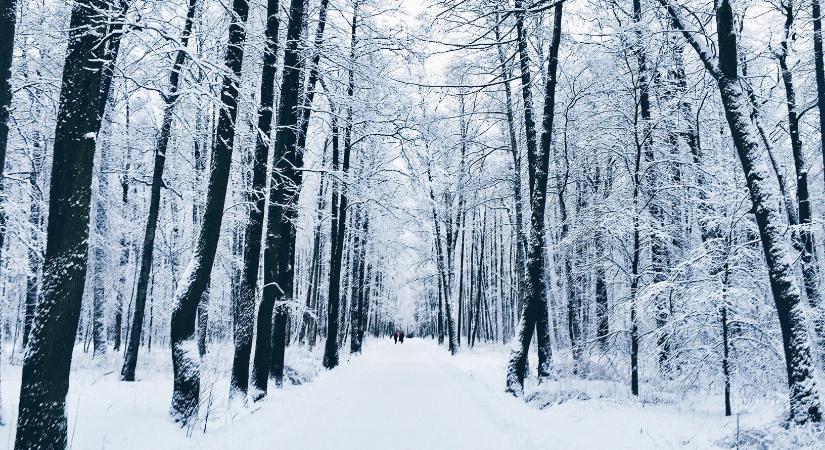 Riadót fújtak az USA-ban: “történelmi havazásra” figyelmeztetnek, akár 61 centi hó is eshet