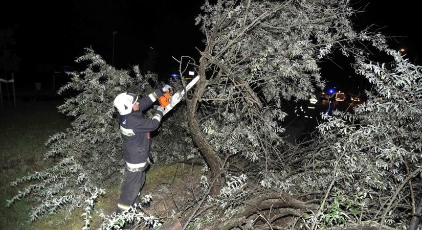 Óriási károkat okozott a január végi orkánerejű szél Magyarországon