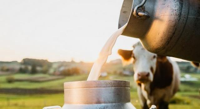 Módosult a tejágazat szerkezetátalakítását kísérő állatjóléti támogatás